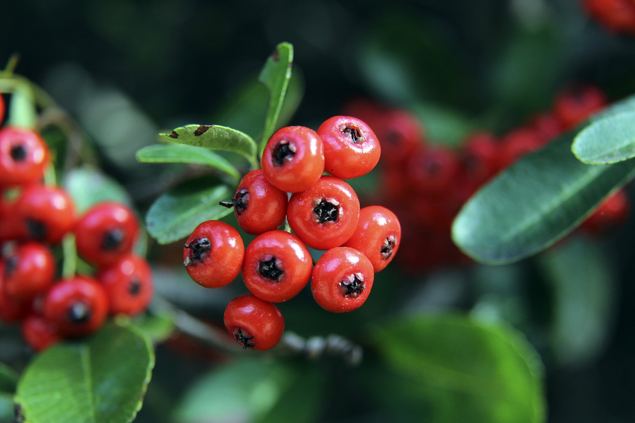 的健康管理 的健康管理